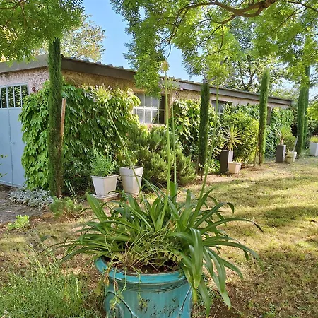 Maison De Famille A Villa Millau